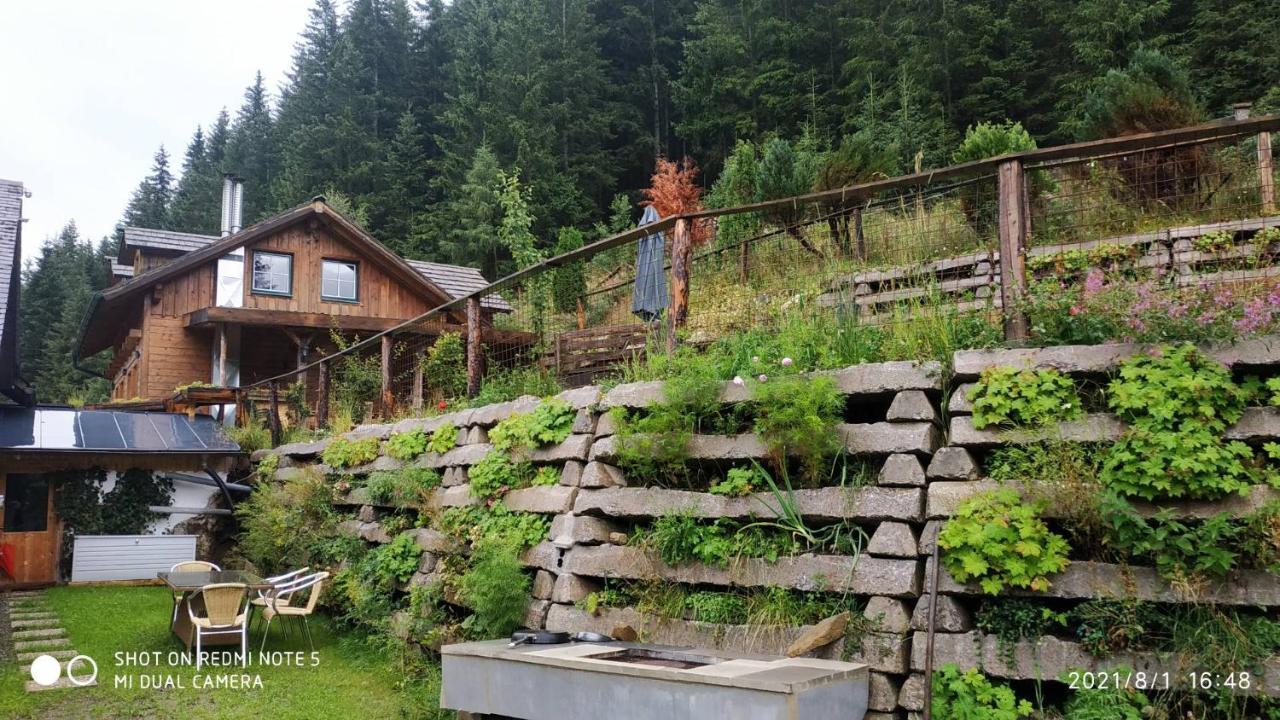 Chalet Steiermark Pusterwald Eksteriør billede