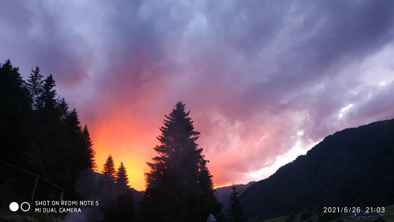 Chalet Steiermark Pusterwald Eksteriør billede